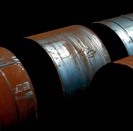 Nutrition & Health Products